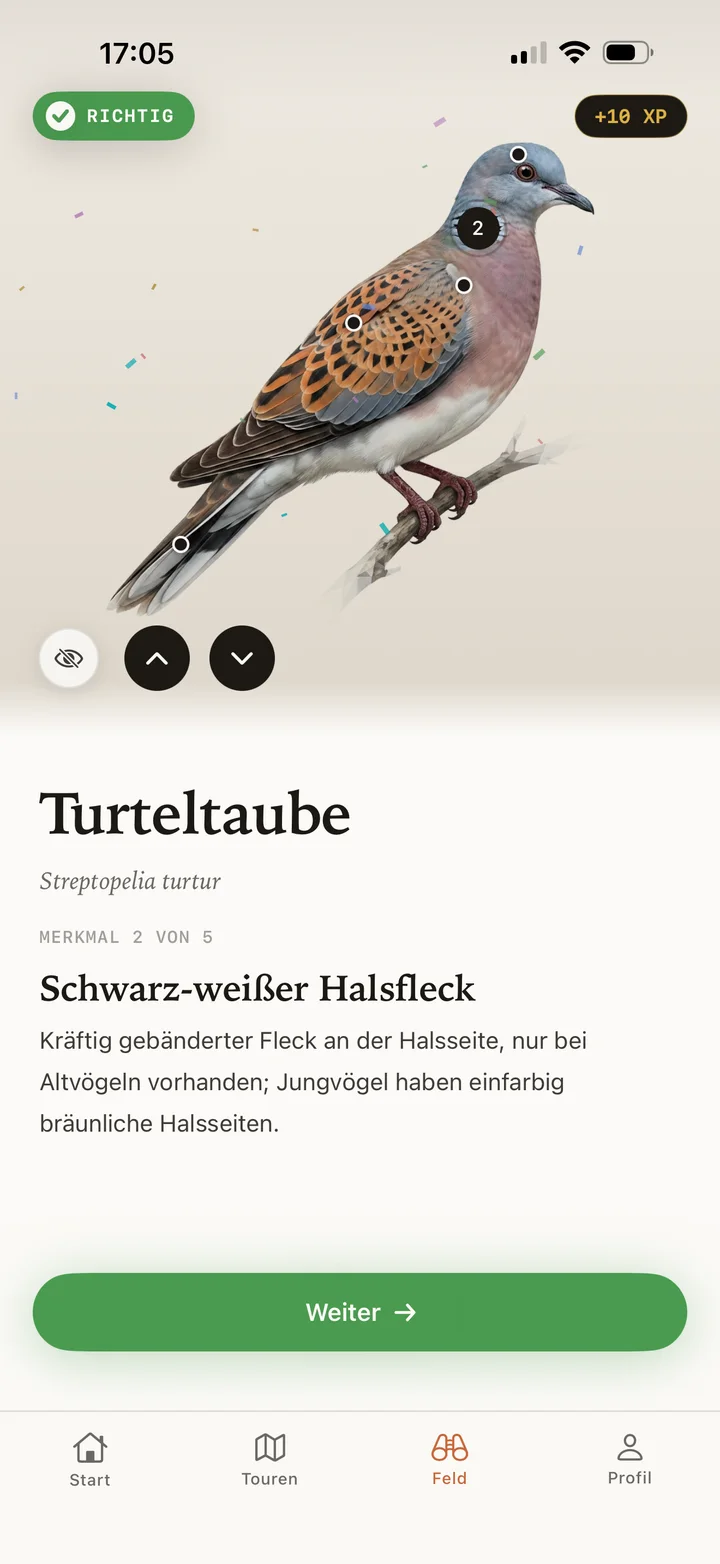 Merkmale verstehen