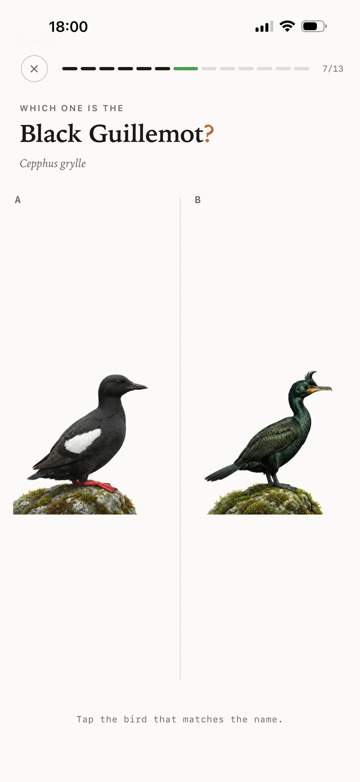 Compare two species