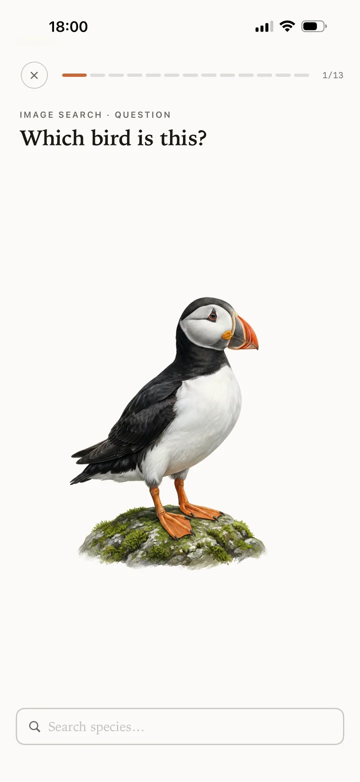 Name the bird