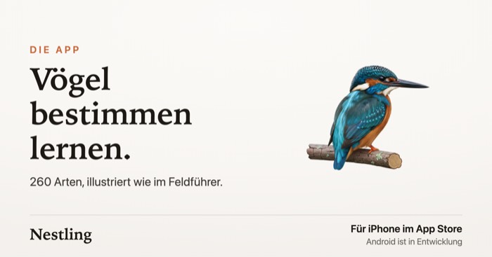 Poster: Vögel bestimmen lernen