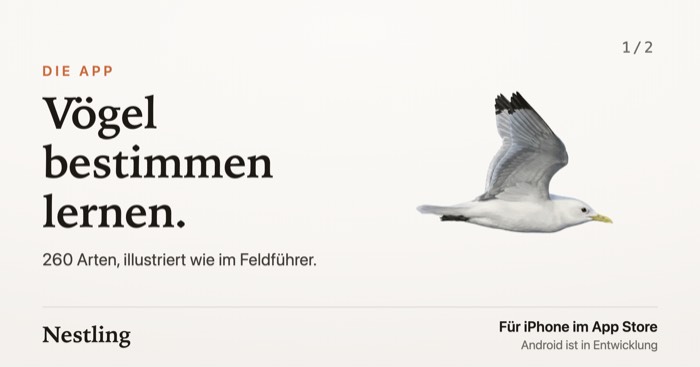 Serie, 2 Bilder 1