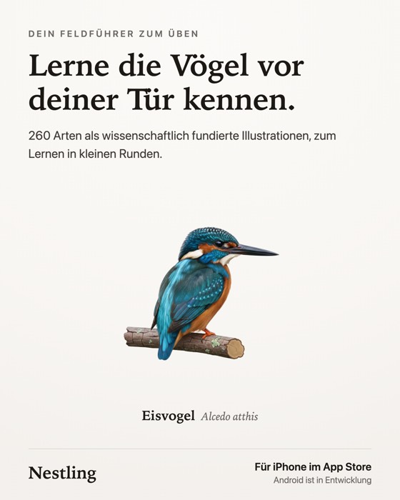 Lerne die Vögel vor deiner Tür kennen