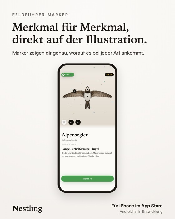 Merkmal für Merkmal, direkt auf der Illustration
