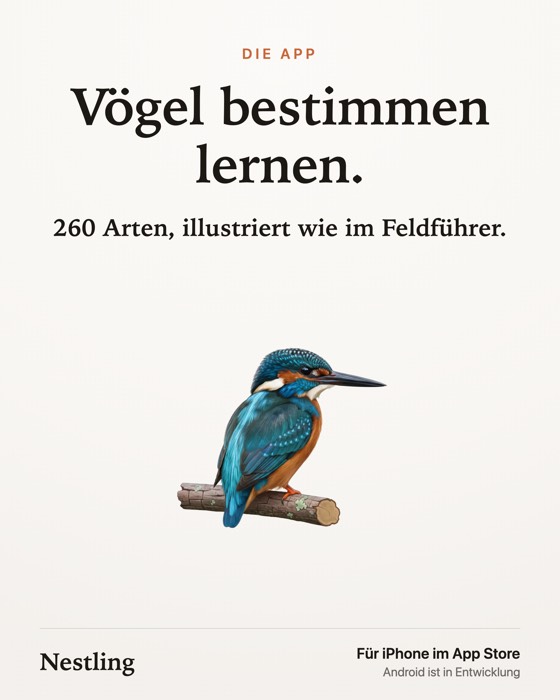 Einzelbild-Post
