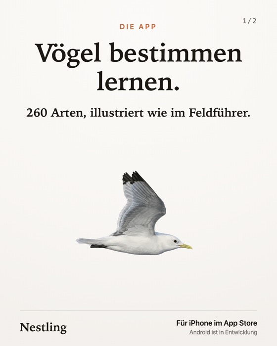 Carousel, 2 Bilder 1