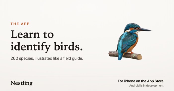 Poster: learn to identify birds