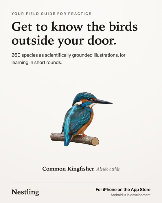 Get to know the birds at your door