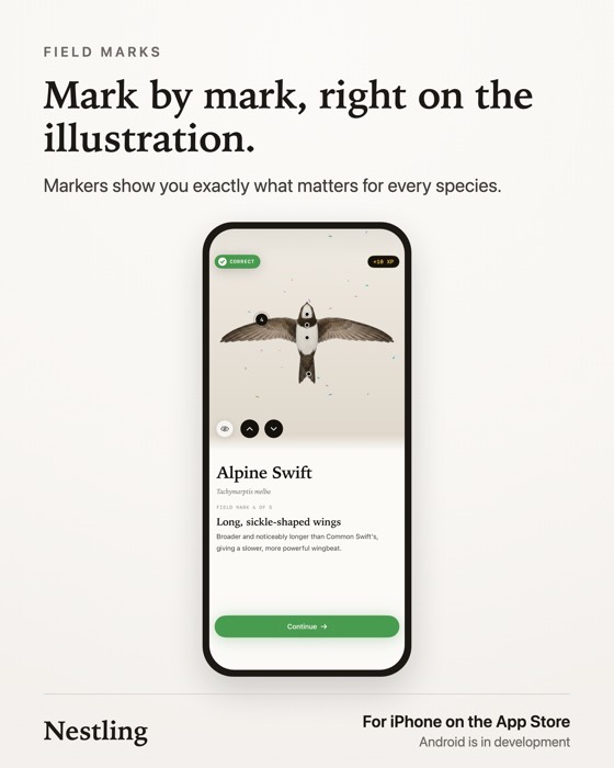 Mark by mark, on the illustration